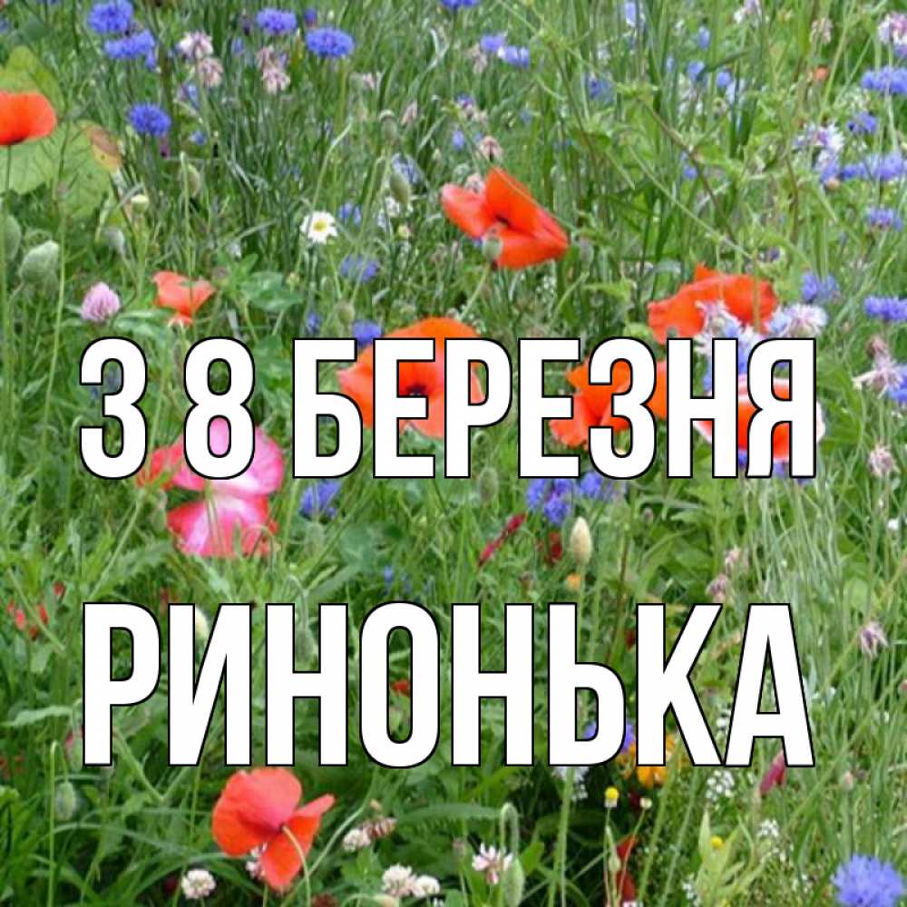 Открытка на каждый день з підписом, Ринонька З 8 БЕРЕЗНЯ международный женский день 4 Прикольна листівка з побажанням онлайн скачати безкоштовно 
