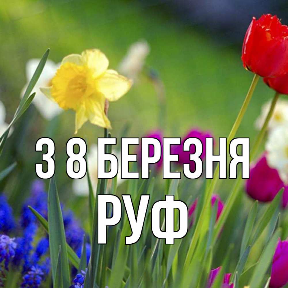 Открытка на каждый день з підписом, Руф З 8 БЕРЕЗНЯ международный женский день 3 Прикольна листівка з побажанням онлайн скачати безкоштовно 