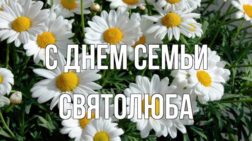 Открытка на каждый день з підписом, Святолюба С днем семьи с днем семьи Прикольна листівка з побажанням онлайн скачати безкоштовно 