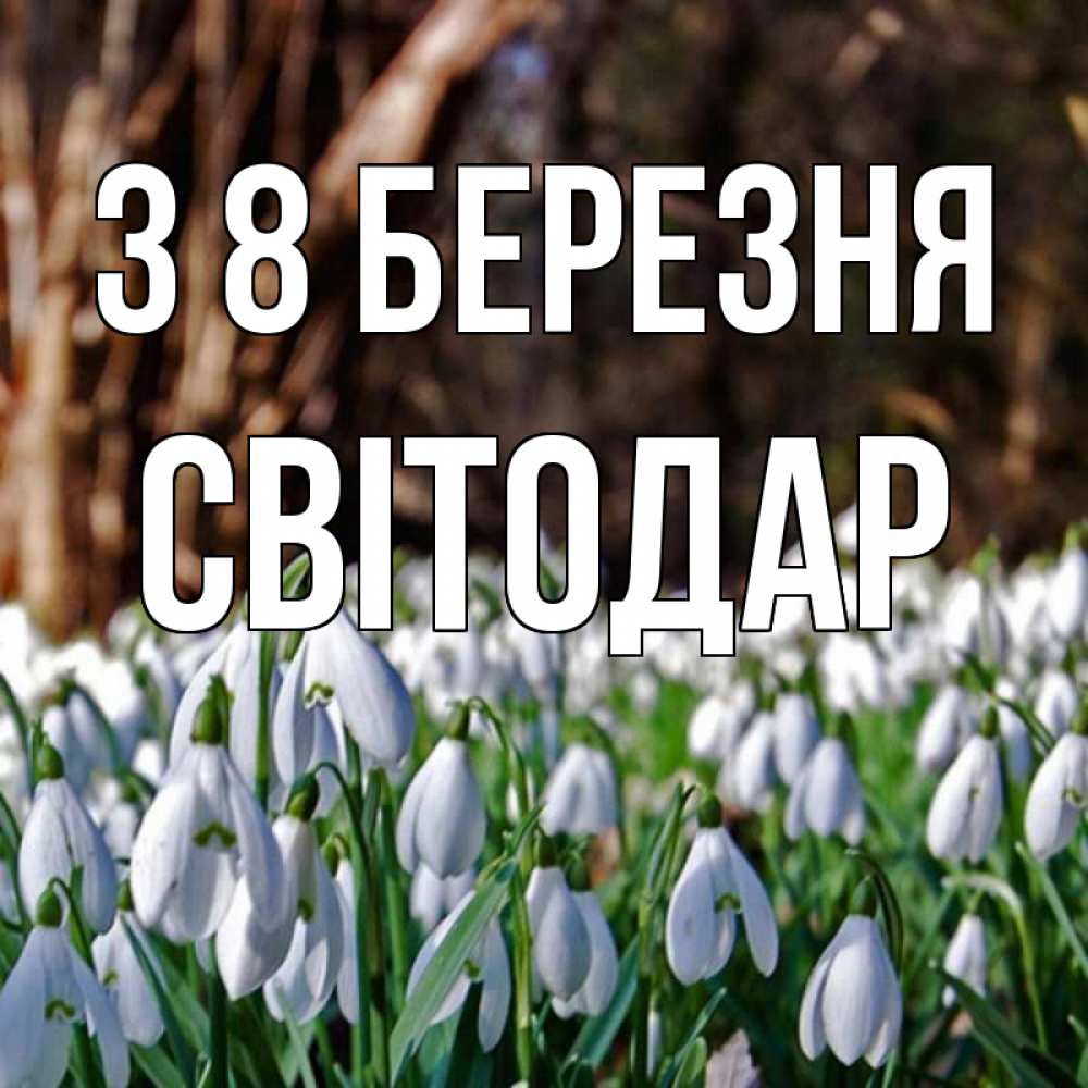 Открытка на каждый день з підписом, Світодар З 8 БЕРЕЗНЯ с подснежниками 1 Прикольна листівка з побажанням онлайн скачати безкоштовно 