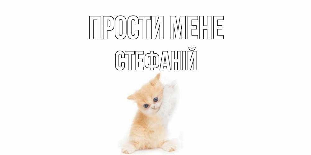 Открытка на каждый день з підписом, Стефаній Прости мене кот Прикольна листівка з побажанням онлайн скачати безкоштовно 