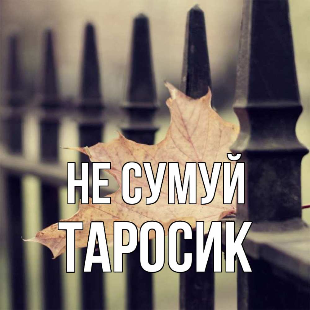 Открытка на каждый день з підписом, Таросик Не сумуй лист клена Прикольна листівка з побажанням онлайн скачати безкоштовно 