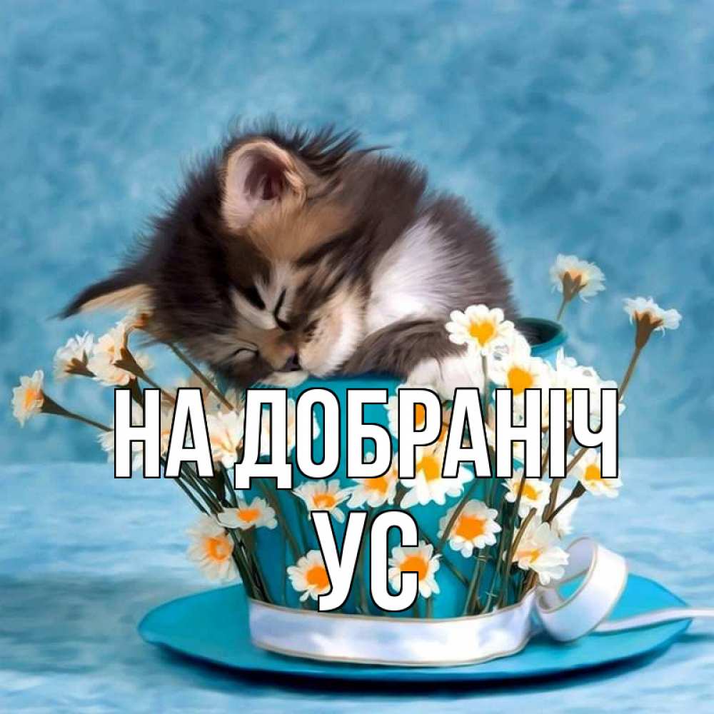 Открытка на каждый день з підписом, Ус На добраніч котенок спит в кружке с блюдцем Прикольна листівка з побажанням онлайн скачати безкоштовно 