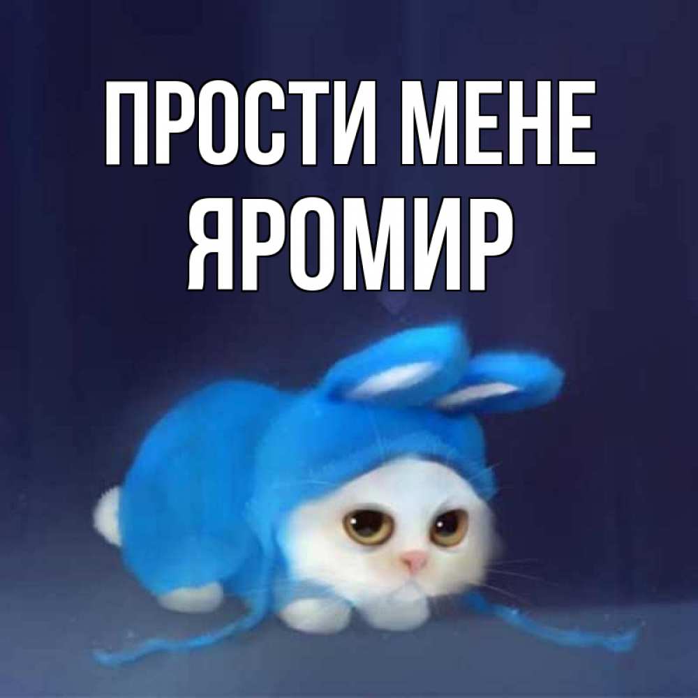 Открытка на каждый день з підписом, Яромир Прости мене невинный котозай просит прощения Прикольна листівка з побажанням онлайн скачати безкоштовно 