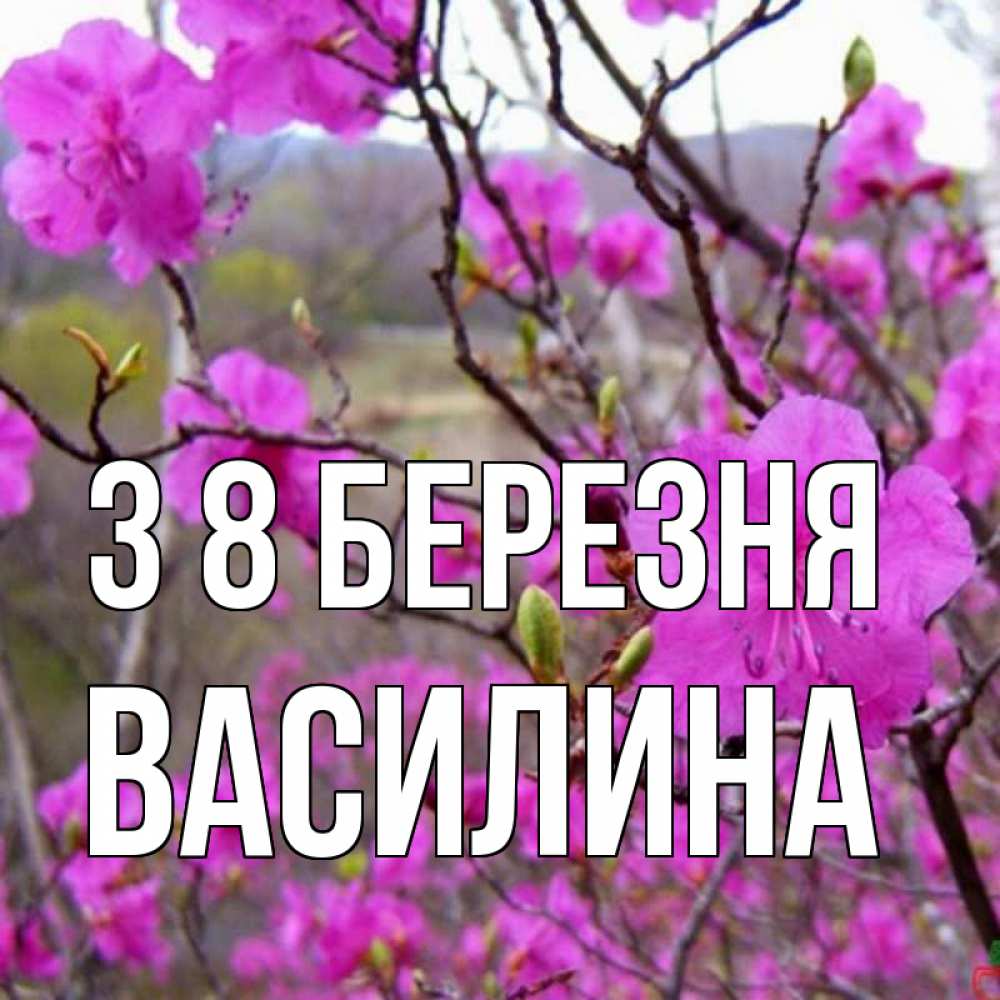 Открытка на каждый день з підписом, Василина З 8 БЕРЕЗНЯ международный женский день Прикольна листівка з побажанням онлайн скачати безкоштовно 