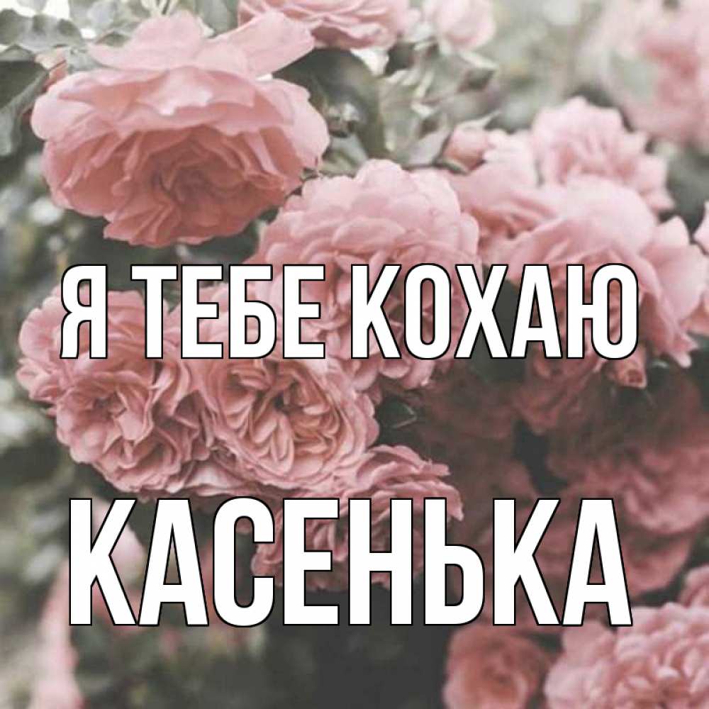 Открытка на каждый день з підписом, Касенька Я тебе кохаю розы 3 Прикольна листівка з побажанням онлайн скачати безкоштовно 