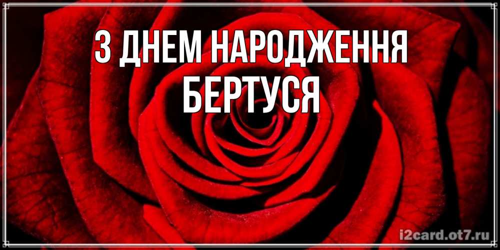 Открытка на каждый день з підписом, Бертуся З Днем народження алая роза Прикольна листівка з побажанням онлайн скачати безкоштовно 