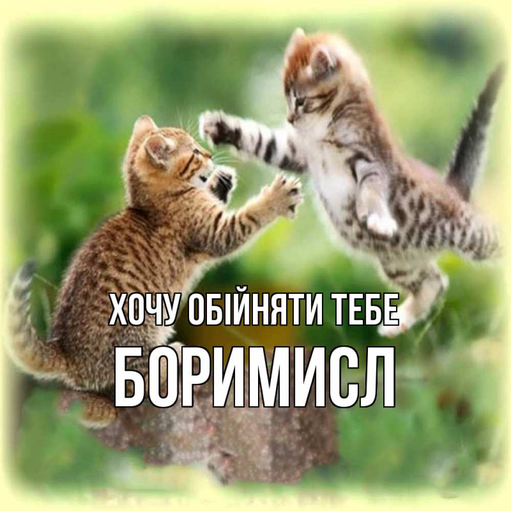 Открытка на каждый день з підписом, Боримисл Хочу обійняти тебе игры котят Прикольна листівка з побажанням онлайн скачати безкоштовно 