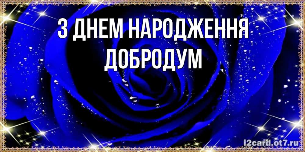 Открытка на каждый день з підписом, Добродум З Днем народження голубые цветы в росе Прикольна листівка з побажанням онлайн скачати безкоштовно 