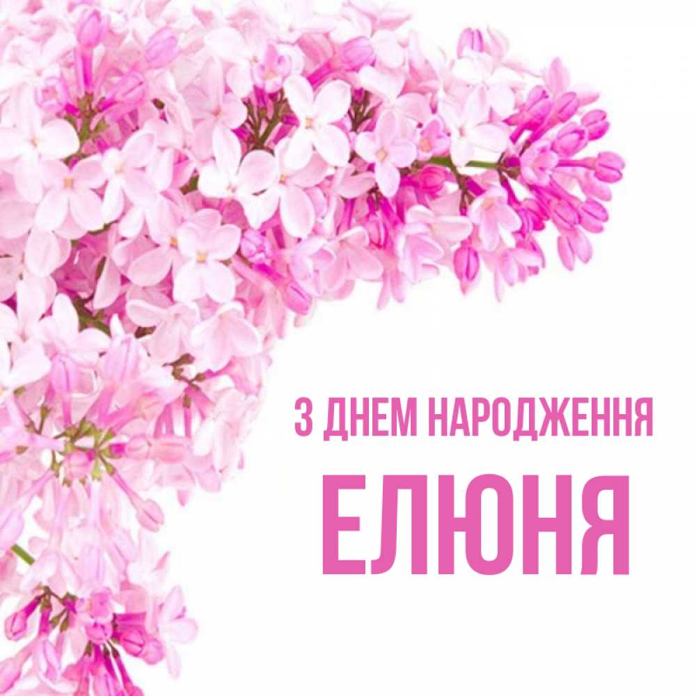 Открытка на каждый день з підписом, Елюня З Днем народження Сирень на белом фоне Прикольна листівка з побажанням онлайн скачати безкоштовно 