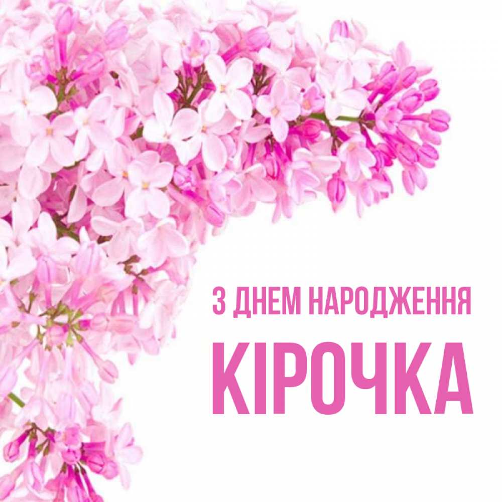 Открытка на каждый день з підписом, Кірочка З Днем народження Сирень на белом фоне Прикольна листівка з побажанням онлайн скачати безкоштовно 