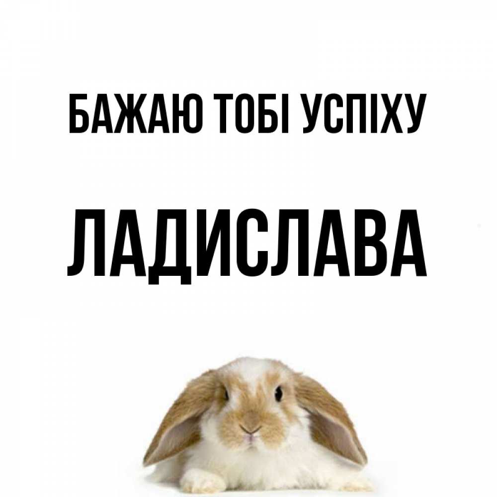Открытка на каждый день з підписом, Ладислава Бажаю тобі успіху открытки с произвольным текстом который можно вставить в открытку и создать ее самостоятельно бесплатно онлайн Прикольна листівка з побажанням онлайн скачати безкоштовно 