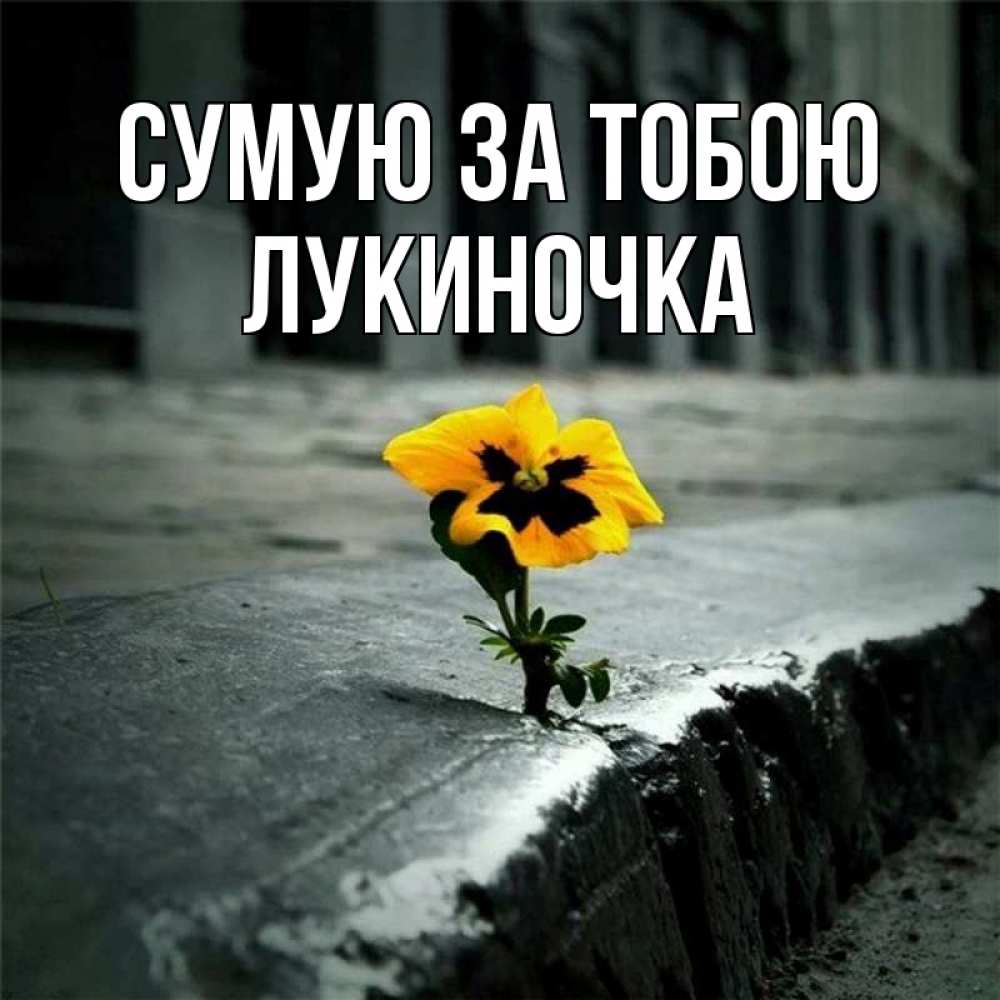 Открытка на каждый день з підписом, Лукиночка Сумую за тобою надеюсь будет лучше Прикольна листівка з побажанням онлайн скачати безкоштовно 