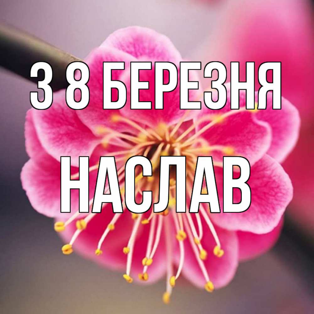 Открытка на каждый день з підписом, Наслав З 8 БЕРЕЗНЯ цветы Прикольна листівка з побажанням онлайн скачати безкоштовно 