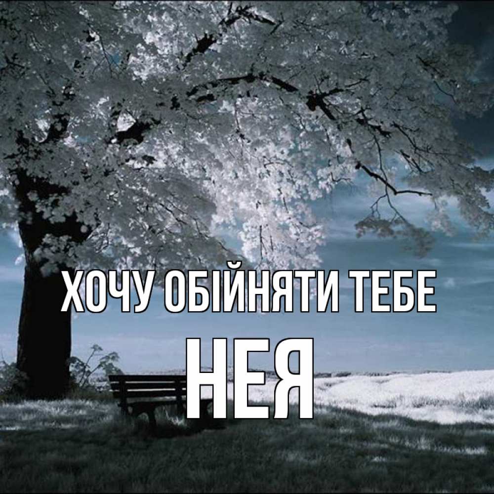 Открытка на каждый день з підписом, Нея Хочу обійняти тебе дерево Прикольна листівка з побажанням онлайн скачати безкоштовно 