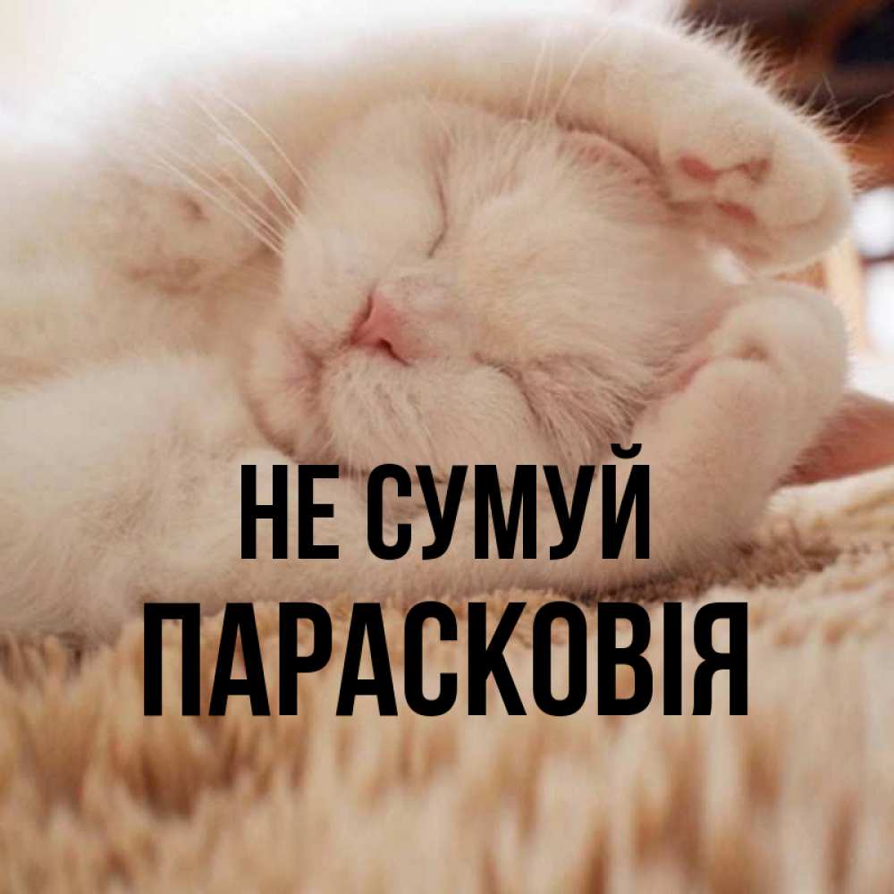 Открытка на каждый день з підписом, Парасковія Не сумуй Котенок спит Прикольна листівка з побажанням онлайн скачати безкоштовно 