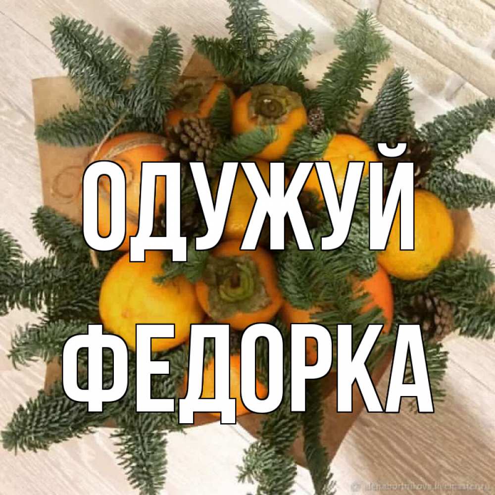 Открытка на каждый день з підписом, Федорка Одужуй апельсины и хурьма Прикольна листівка з побажанням онлайн скачати безкоштовно 