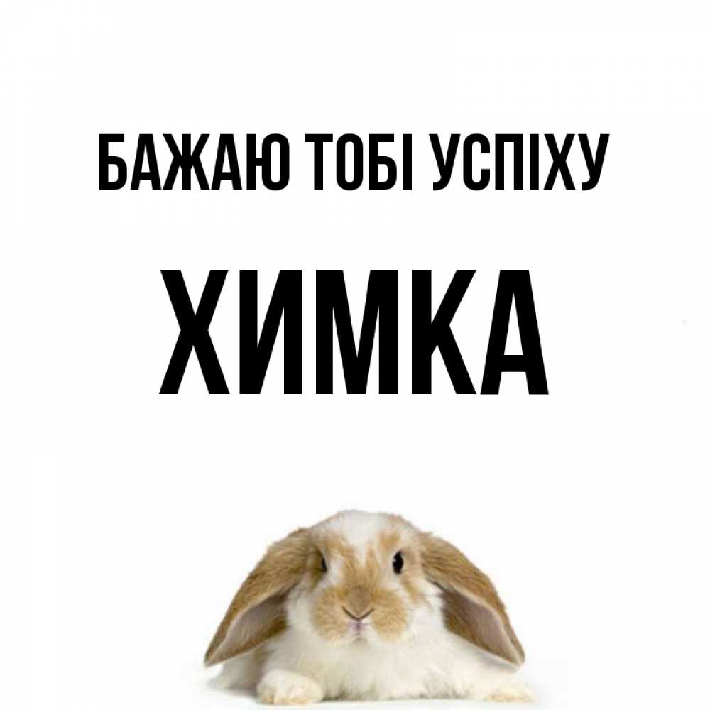 Открытка на каждый день з підписом, Химка Бажаю тобі успіху открытки с произвольным текстом который можно вставить в открытку и создать ее самостоятельно бесплатно онлайн Прикольна листівка з побажанням онлайн скачати безкоштовно 