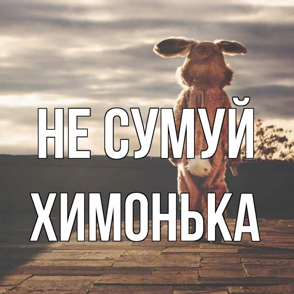 Открытка на каждый день з підписом, Химонька Не сумуй со спины Прикольна листівка з побажанням онлайн скачати безкоштовно 