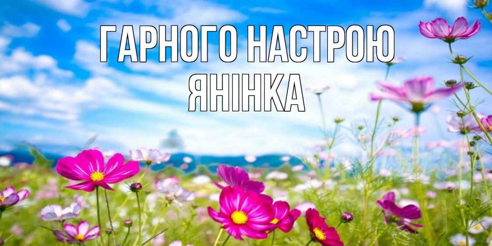 Открытка на каждый день з підписом, Янінка Гарного настрою поле цветов Прикольна листівка з побажанням онлайн скачати безкоштовно 