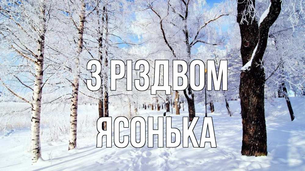 Открытка на каждый день з підписом, Ясонька З Різдвом зимний лес Прикольна листівка з побажанням онлайн скачати безкоштовно 