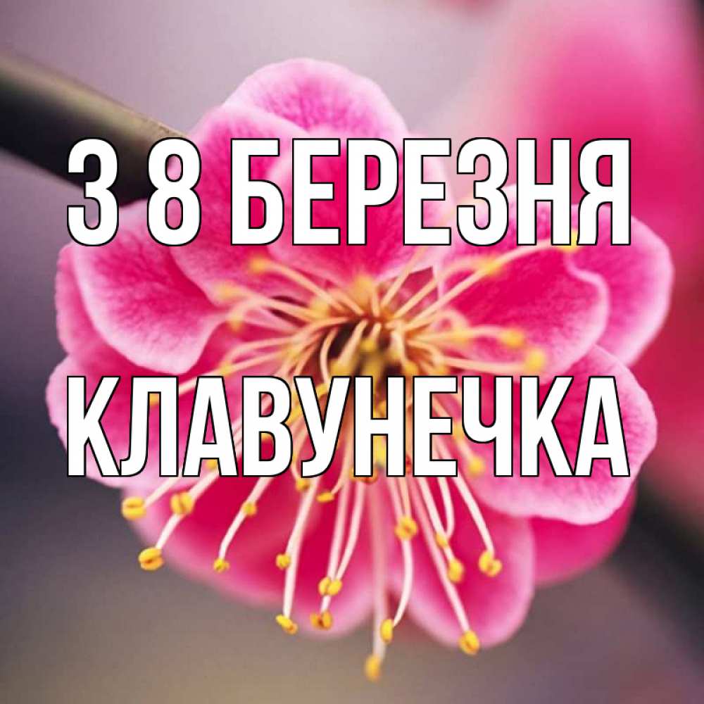 Открытка на каждый день з підписом, Клавунечка З 8 БЕРЕЗНЯ цветы Прикольна листівка з побажанням онлайн скачати безкоштовно 