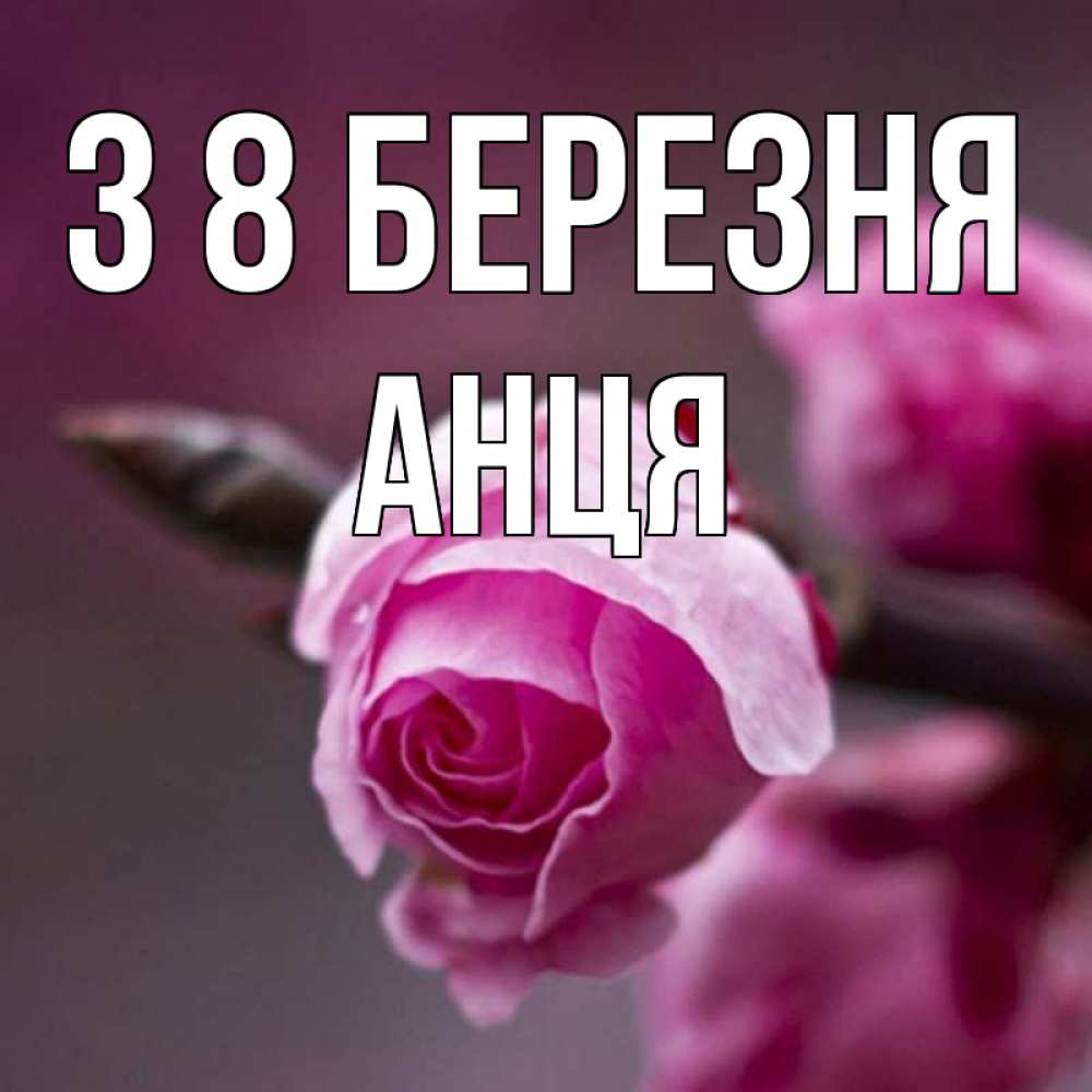 Открытка на каждый день з підписом, Анця З 8 БЕРЕЗНЯ весна Прикольна листівка з побажанням онлайн скачати безкоштовно 