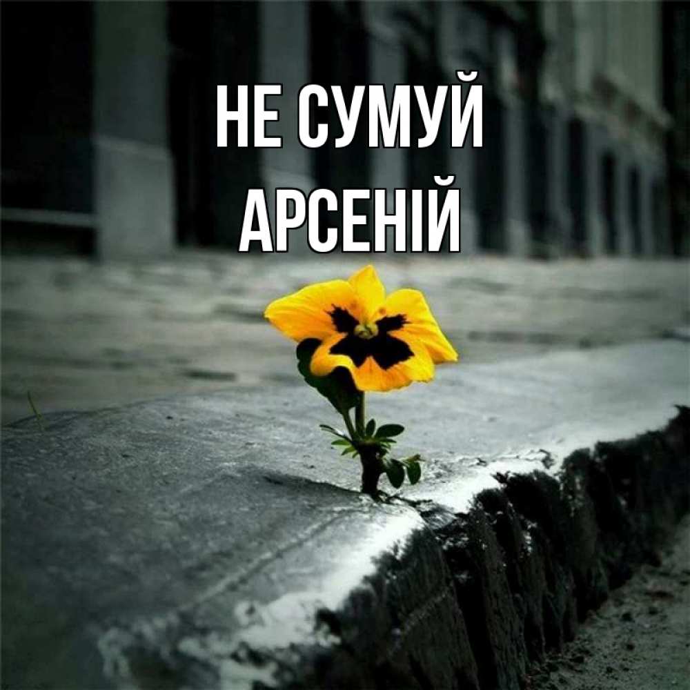 Открытка на каждый день з підписом, Арсеній Не сумуй не сдавайся Прикольна листівка з побажанням онлайн скачати безкоштовно 
