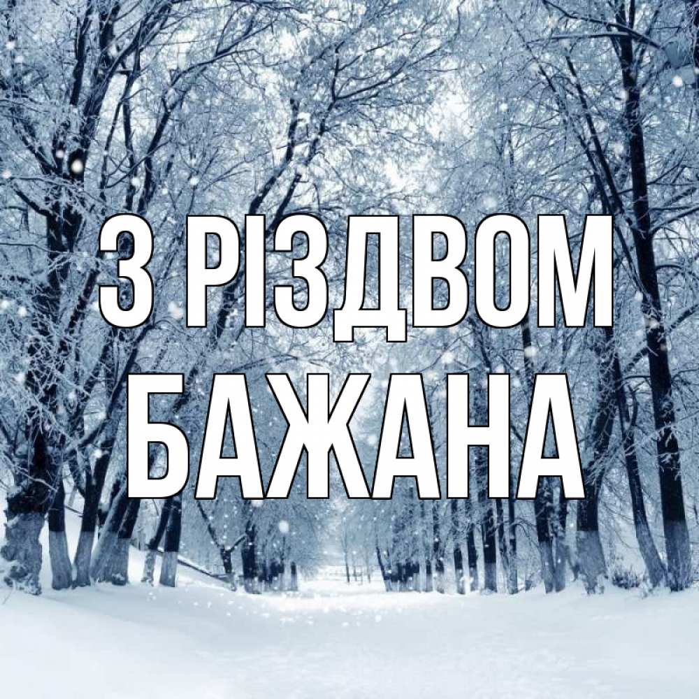 Открытка на каждый день з підписом, Бажана З Різдвом снег, лес, парк Прикольна листівка з побажанням онлайн скачати безкоштовно 