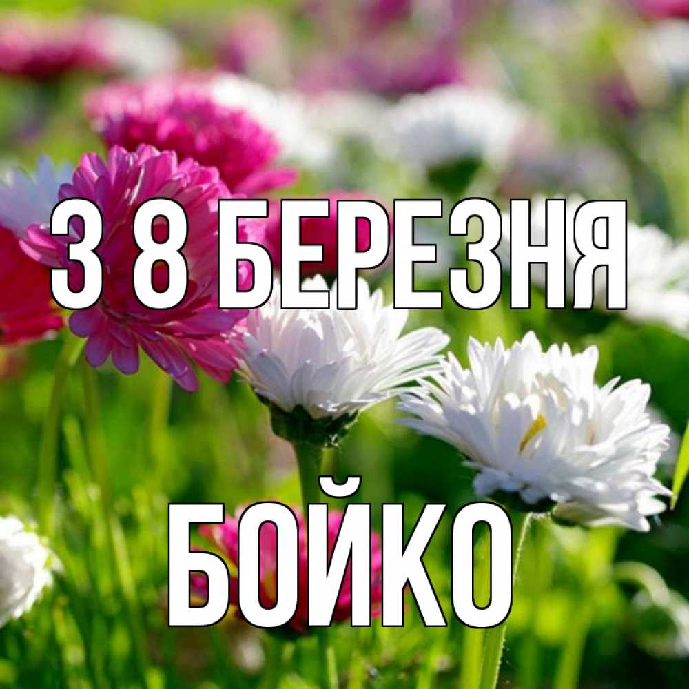 Открытка на каждый день з підписом, Бойко З 8 БЕРЕЗНЯ международный женский день 1 Прикольна листівка з побажанням онлайн скачати безкоштовно 