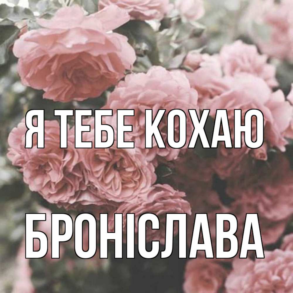 Открытка на каждый день з підписом, Броніслава Я тебе кохаю розы 3 Прикольна листівка з побажанням онлайн скачати безкоштовно 