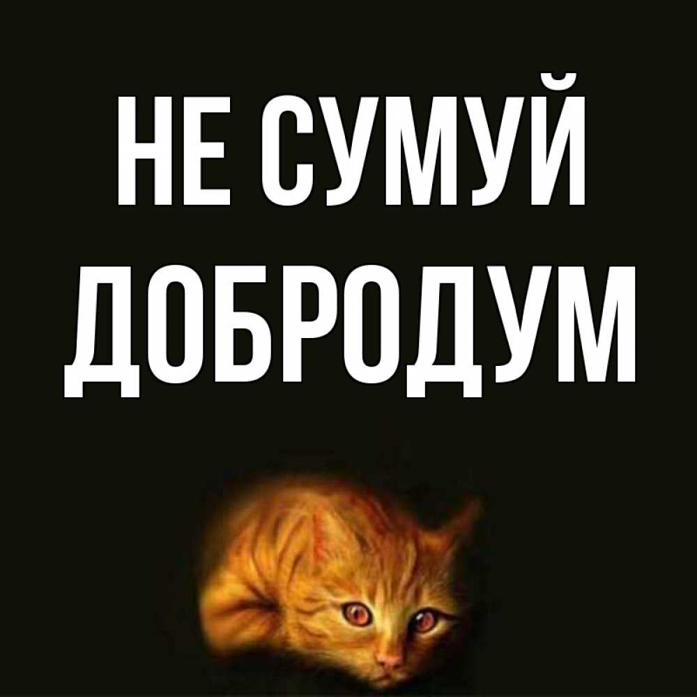 Открытка на каждый день з підписом, Добродум Не сумуй лежащий кот в темноте Прикольна листівка з побажанням онлайн скачати безкоштовно 