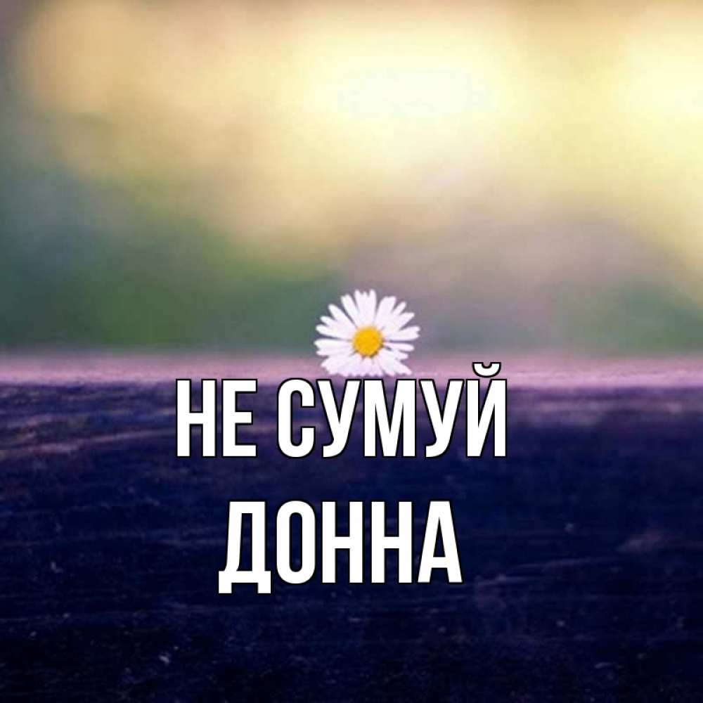 Открытка на каждый день з підписом, Донна Не сумуй красота Прикольна листівка з побажанням онлайн скачати безкоштовно 