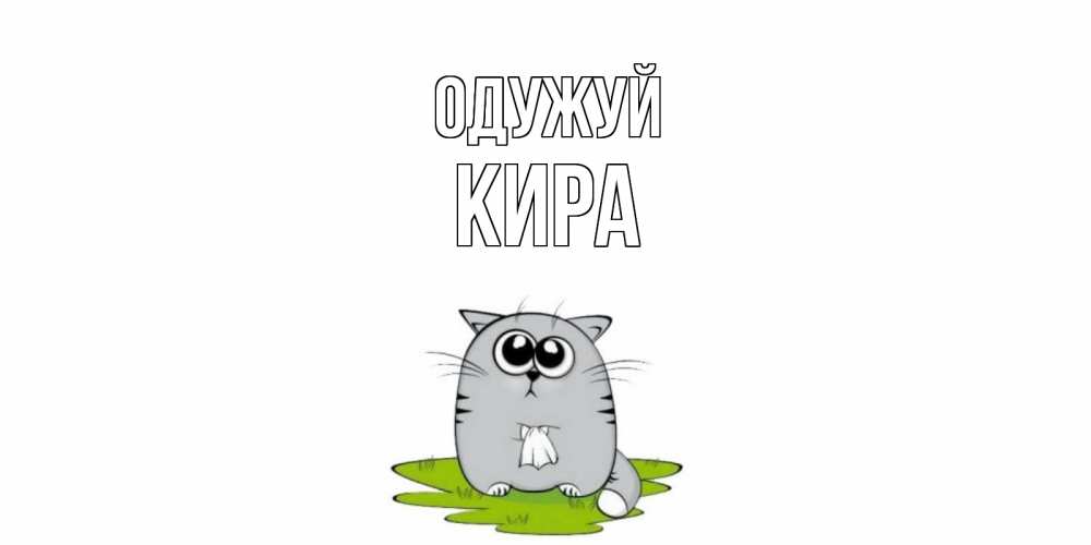 Открытка на каждый день з підписом, Кира Одужуй кот и открытки про выздоровление Прикольна листівка з побажанням онлайн скачати безкоштовно 