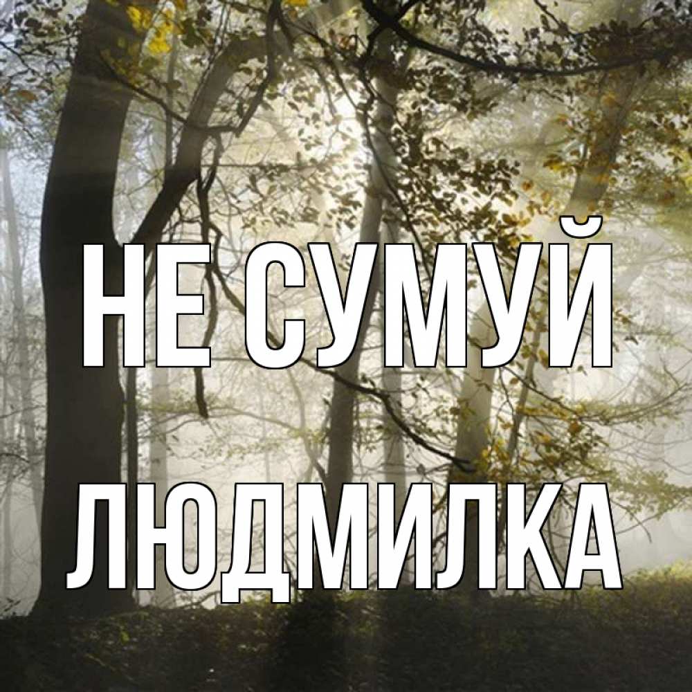 Открытка на каждый день з підписом, Людмилка Не сумуй лес и свет Прикольна листівка з побажанням онлайн скачати безкоштовно 