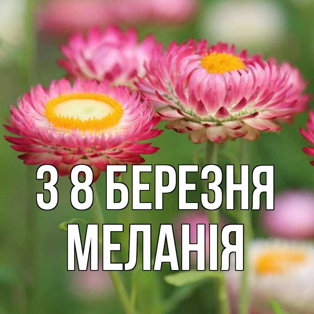 Открытка на каждый день з підписом, Меланія З 8 БЕРЕЗНЯ подарок на международный женский день Прикольна листівка з побажанням онлайн скачати безкоштовно 