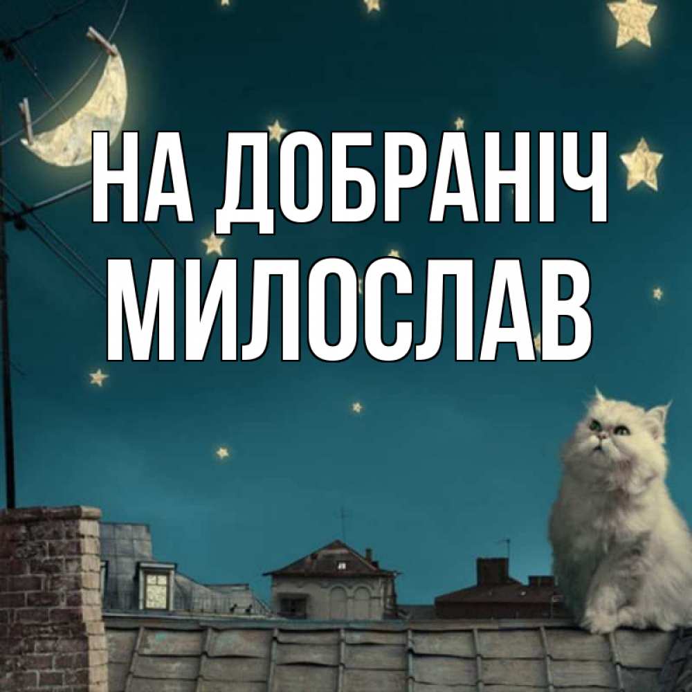 Открытка на каждый день з підписом, Милослав На добраніч белый кот сидит на крыше Прикольна листівка з побажанням онлайн скачати безкоштовно 