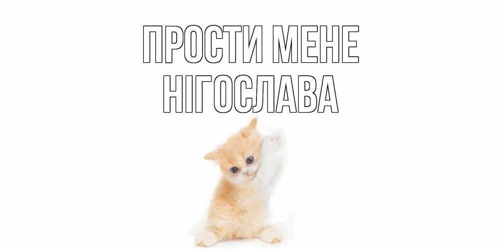 Открытка на каждый день з підписом, Нігослава Прости мене кот Прикольна листівка з побажанням онлайн скачати безкоштовно 