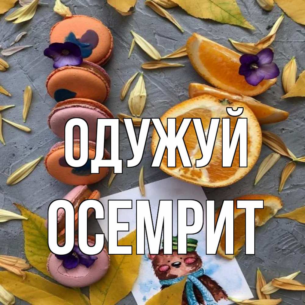 Открытка на каждый день з підписом, Осемрит Одужуй не болейте Прикольна листівка з побажанням онлайн скачати безкоштовно 