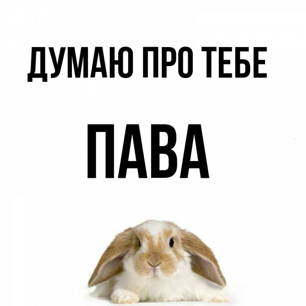 Открытка на каждый день з підписом, Пава Думаю про тебе подписать своими руками онлайн Прикольна листівка з побажанням онлайн скачати безкоштовно 