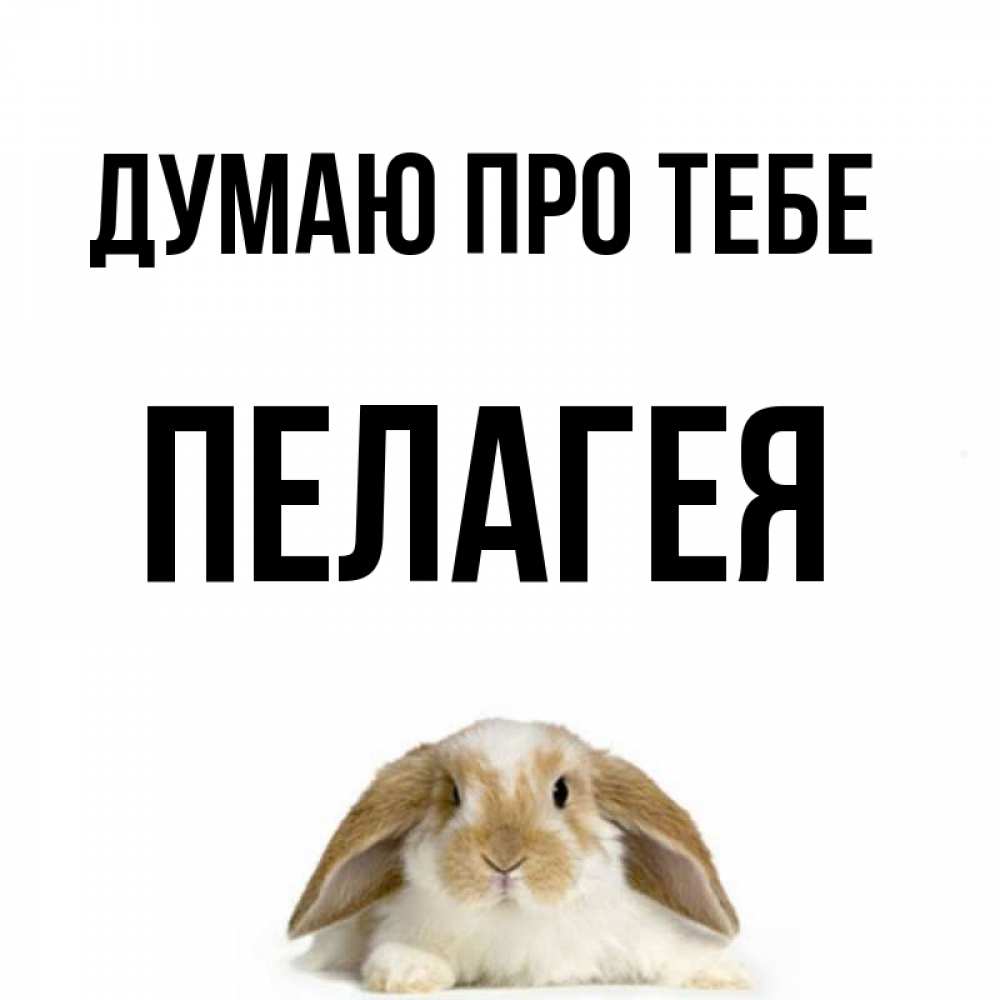 Открытка на каждый день з підписом, Пелагея Думаю про тебе подписать своими руками онлайн Прикольна листівка з побажанням онлайн скачати безкоштовно 