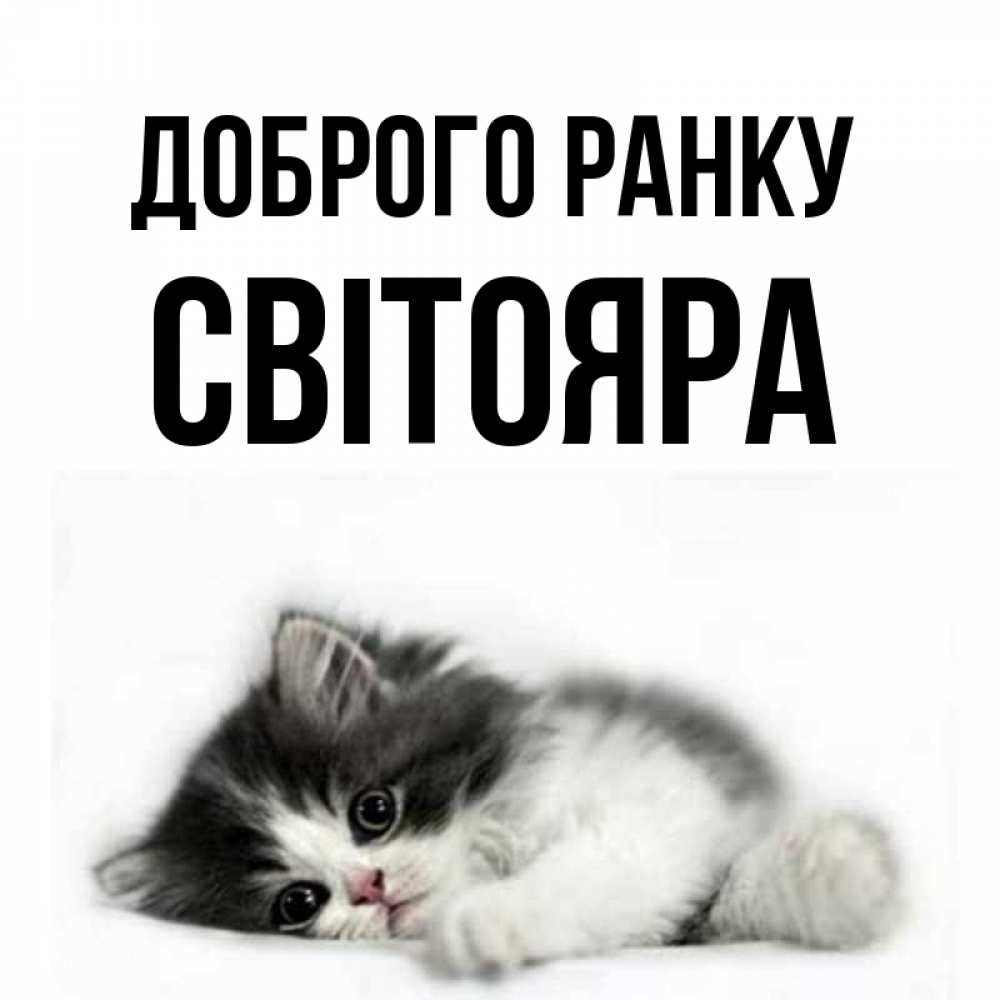 Открытка на каждый день з підписом, Світояра Доброго ранку кот лапки Прикольна листівка з побажанням онлайн скачати безкоштовно 