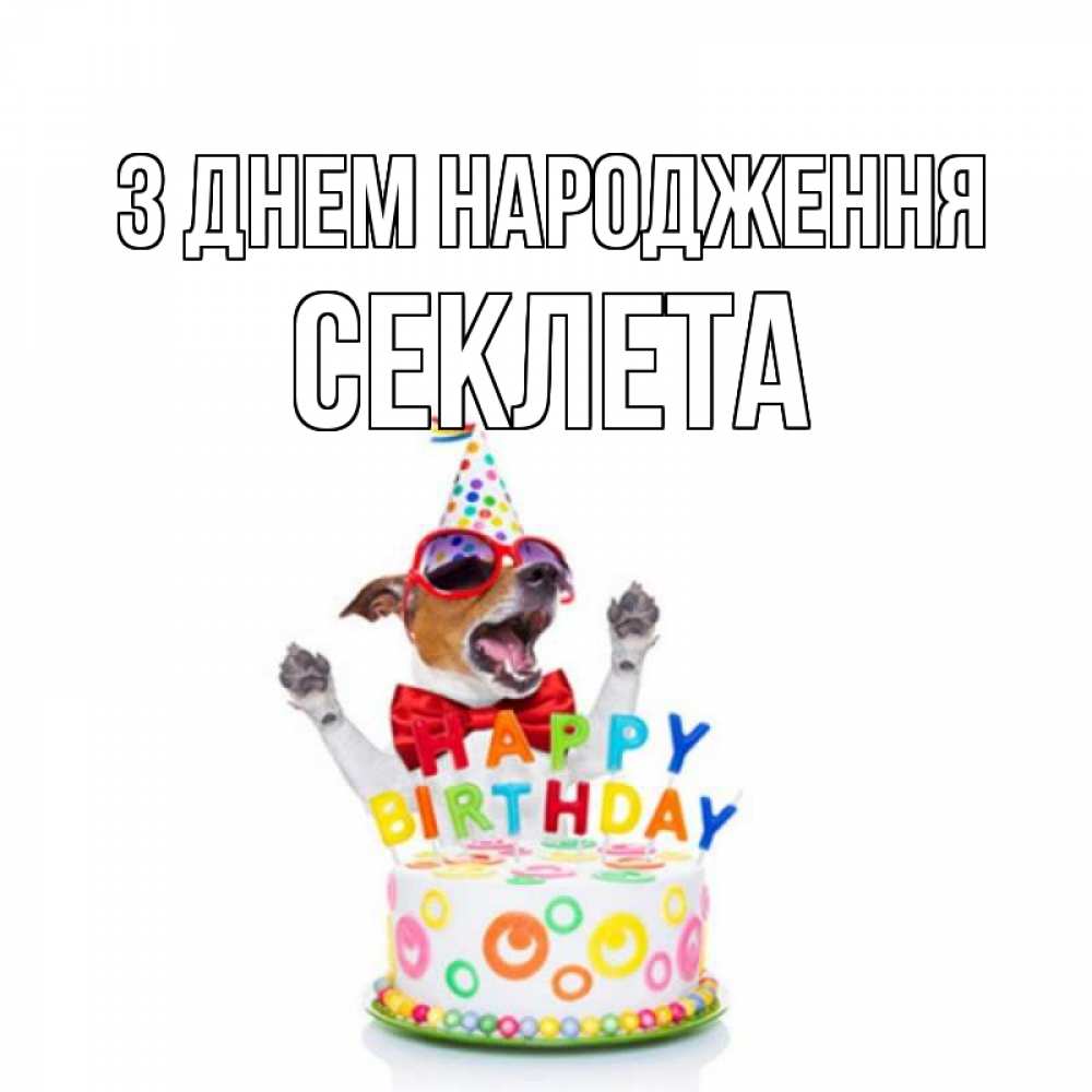 Открытка на каждый день з підписом, Секлета З Днем народження тортик Прикольна листівка з побажанням онлайн скачати безкоштовно 