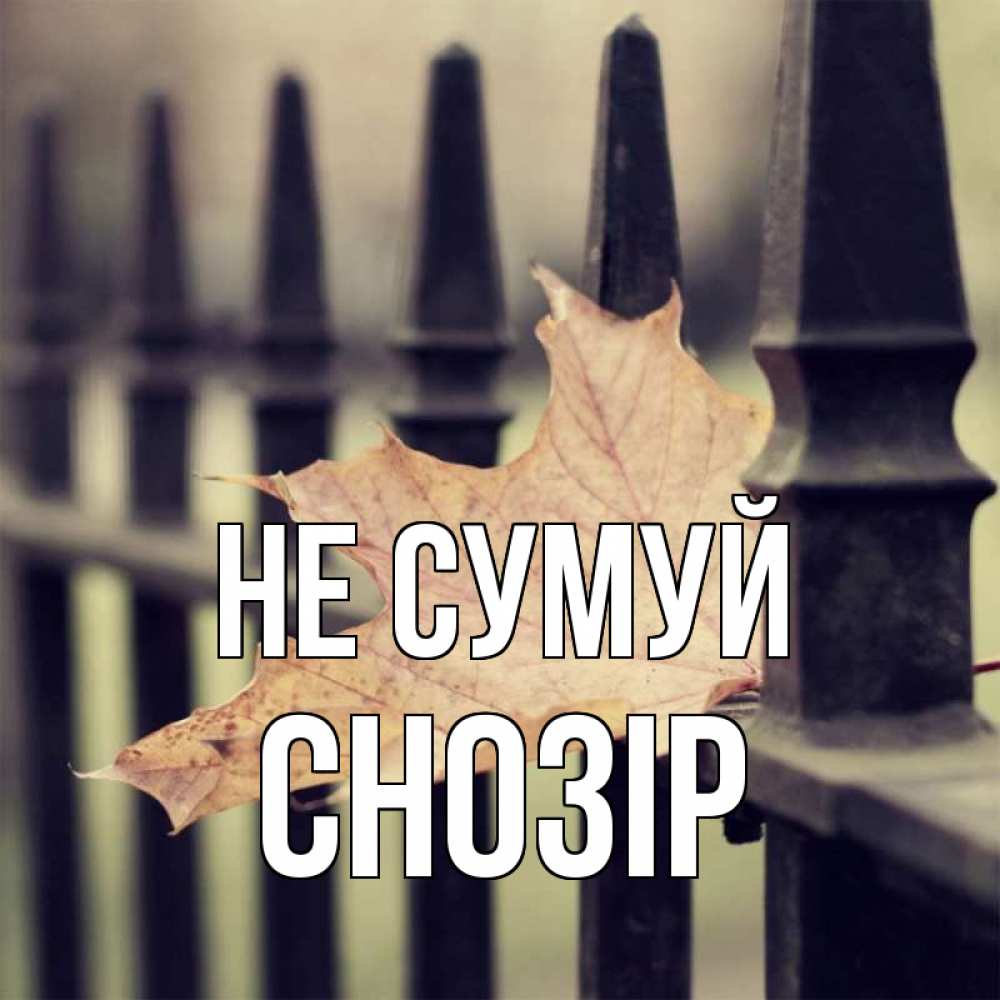 Открытка на каждый день з підписом, Снозір Не сумуй лист клена Прикольна листівка з побажанням онлайн скачати безкоштовно 