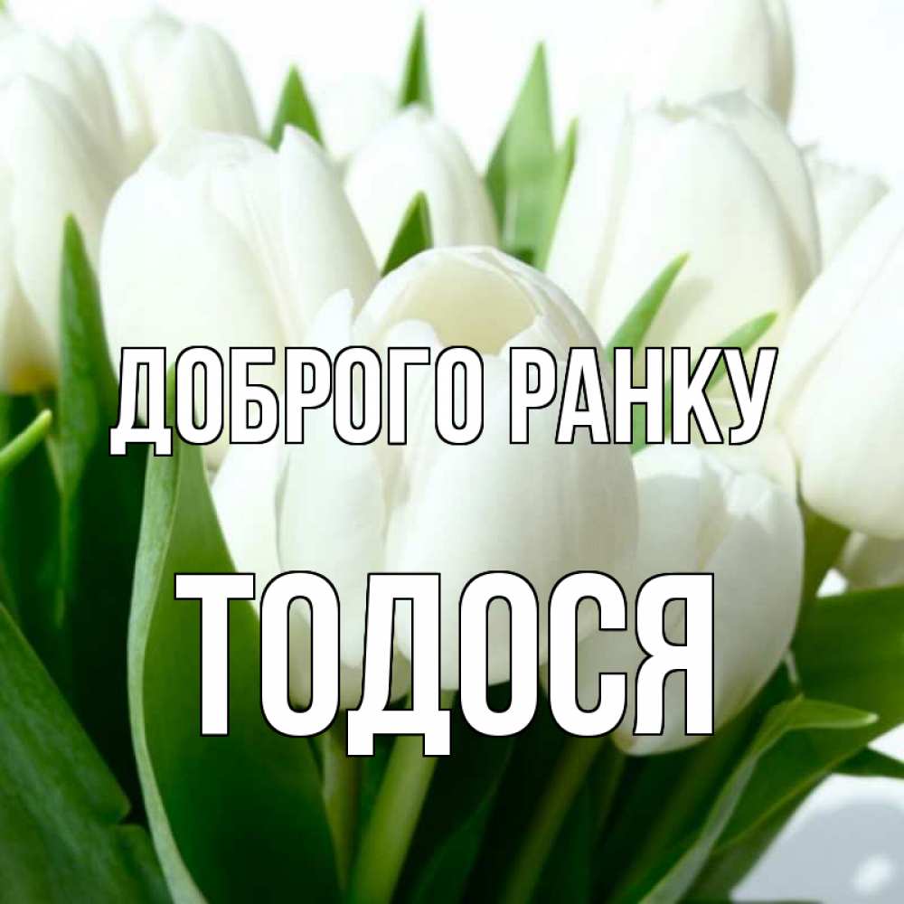 Открытка на каждый день з підписом, Тодося Доброго ранку открытки на каждый день по именам Прикольна листівка з побажанням онлайн скачати безкоштовно 