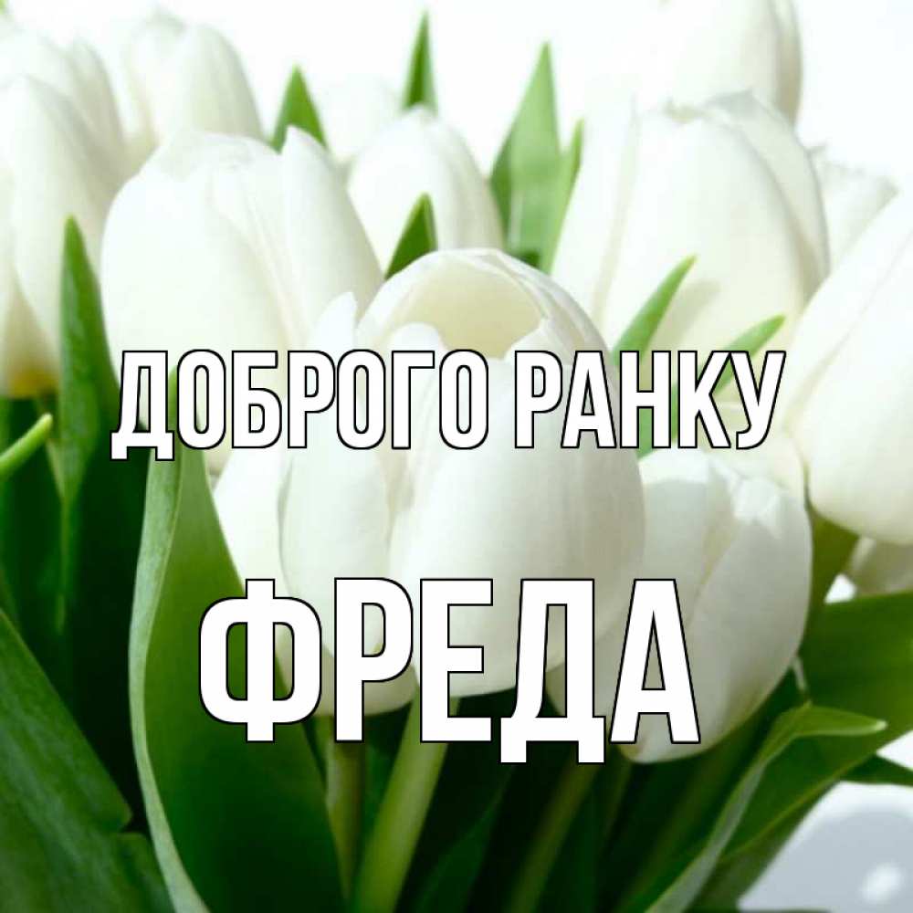 Открытка на каждый день з підписом, Фреда Доброго ранку открытки на каждый день по именам Прикольна листівка з побажанням онлайн скачати безкоштовно 