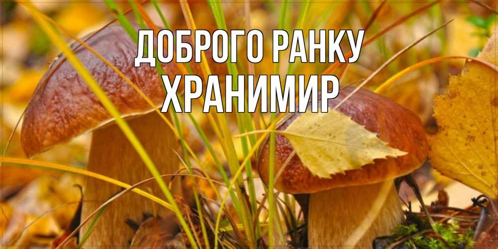Открытка на каждый день з підписом, Хранимир Доброго ранку осенние грибы Прикольна листівка з побажанням онлайн скачати безкоштовно 
