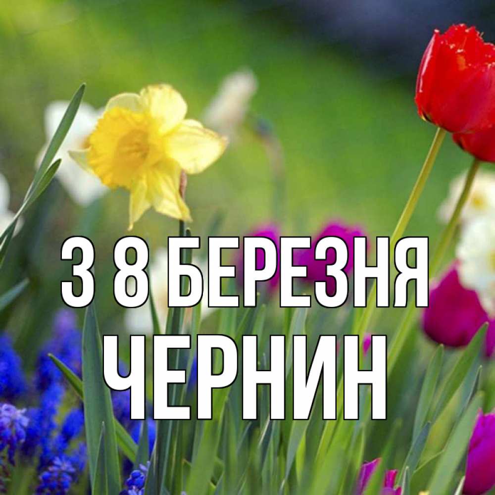 Открытка на каждый день з підписом, Чернин З 8 БЕРЕЗНЯ международный женский день 3 Прикольна листівка з побажанням онлайн скачати безкоштовно 