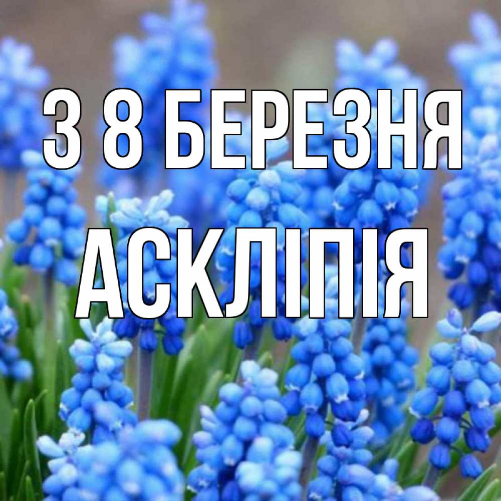 Открытка на каждый день з підписом, Аскліпія З 8 БЕРЕЗНЯ Поздравительная открытка для женщин с цветами на праздничную дату Прикольна листівка з побажанням онлайн скачати безкоштовно 