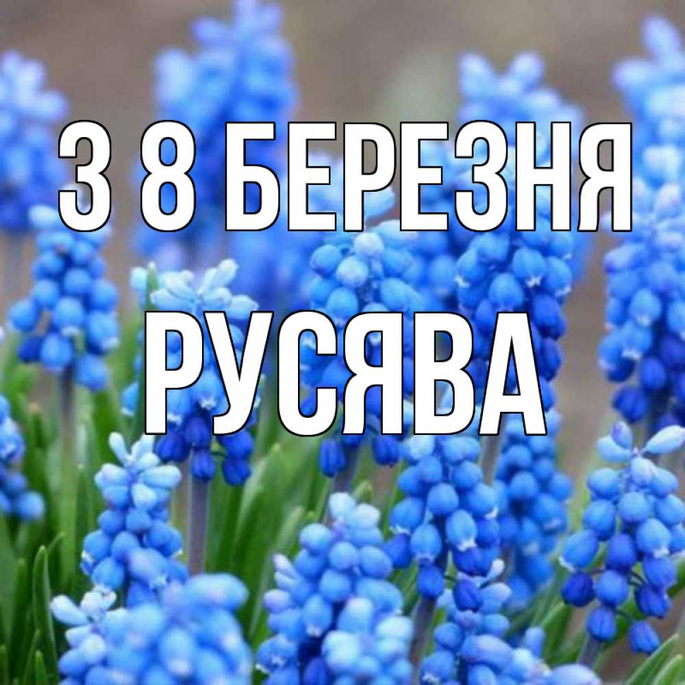 Открытка на каждый день з підписом, Русява З 8 БЕРЕЗНЯ Поздравительная открытка для женщин с цветами на праздничную дату Прикольна листівка з побажанням онлайн скачати безкоштовно 